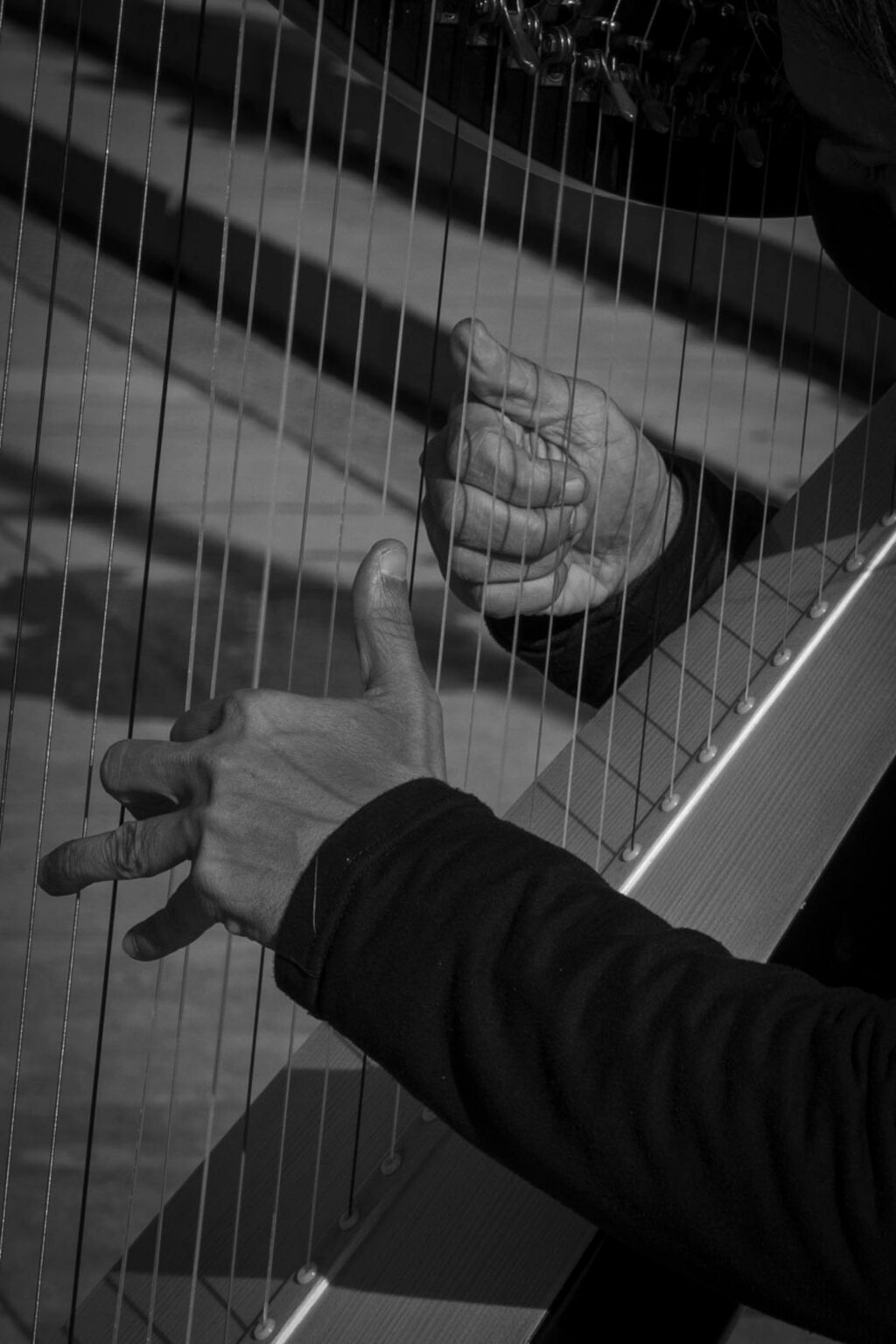 Primo piano delle mani di un'arpista sulle corde