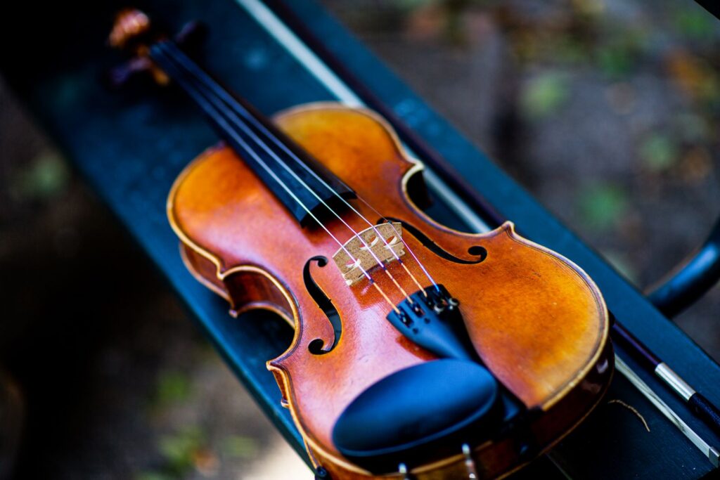 Violino appoggiato su una custodia