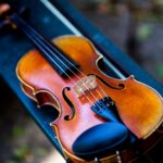 Violino appoggiato su una custodia